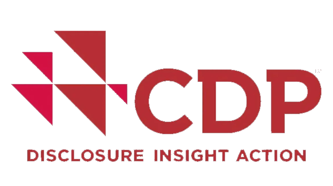 CDP碳信息披露项目主要包含的四个内容